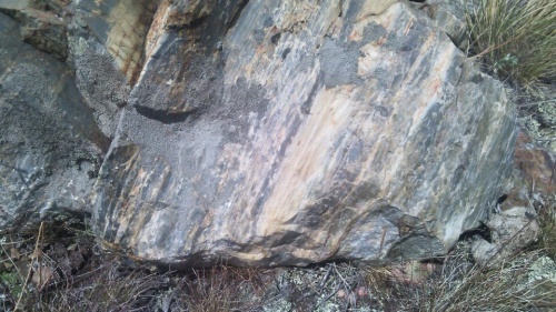 Гигантские зелёные валуны для ландшафтного дизайна весом более 5 тонн купить в Республике Бурятия